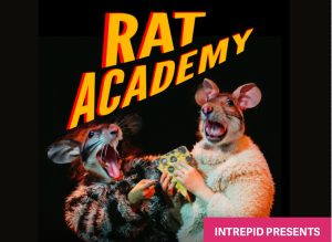 An edited photo of two rats one darker coloured and the other lighter, open mouthed and holding a piece of cheese. The image says Rat Academy. 